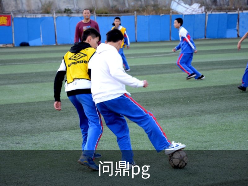 问鼎pg介绍
